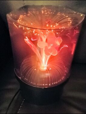 MCM Carousel Music Box And Beautiful Glowing Fiber Optic Flower Lamp - Colorful